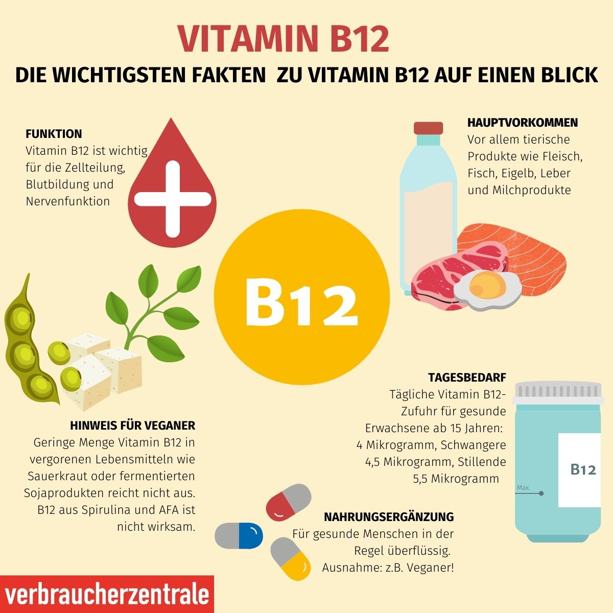 Vitamin B12-Ergänzung für Blutbildung, Nervenfunktion und Immunsystem